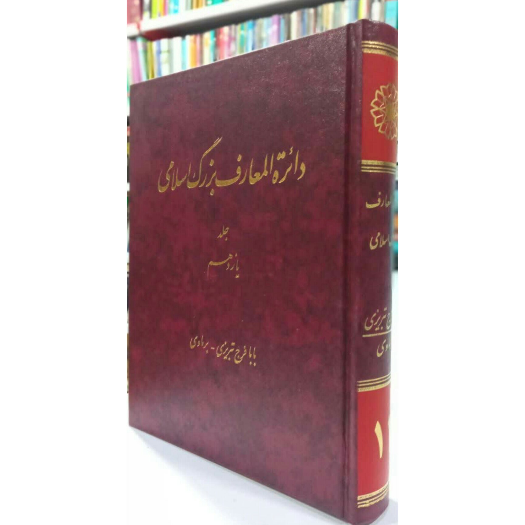 کتاب دائره المهارف بزرگ اسلامی جلد 11