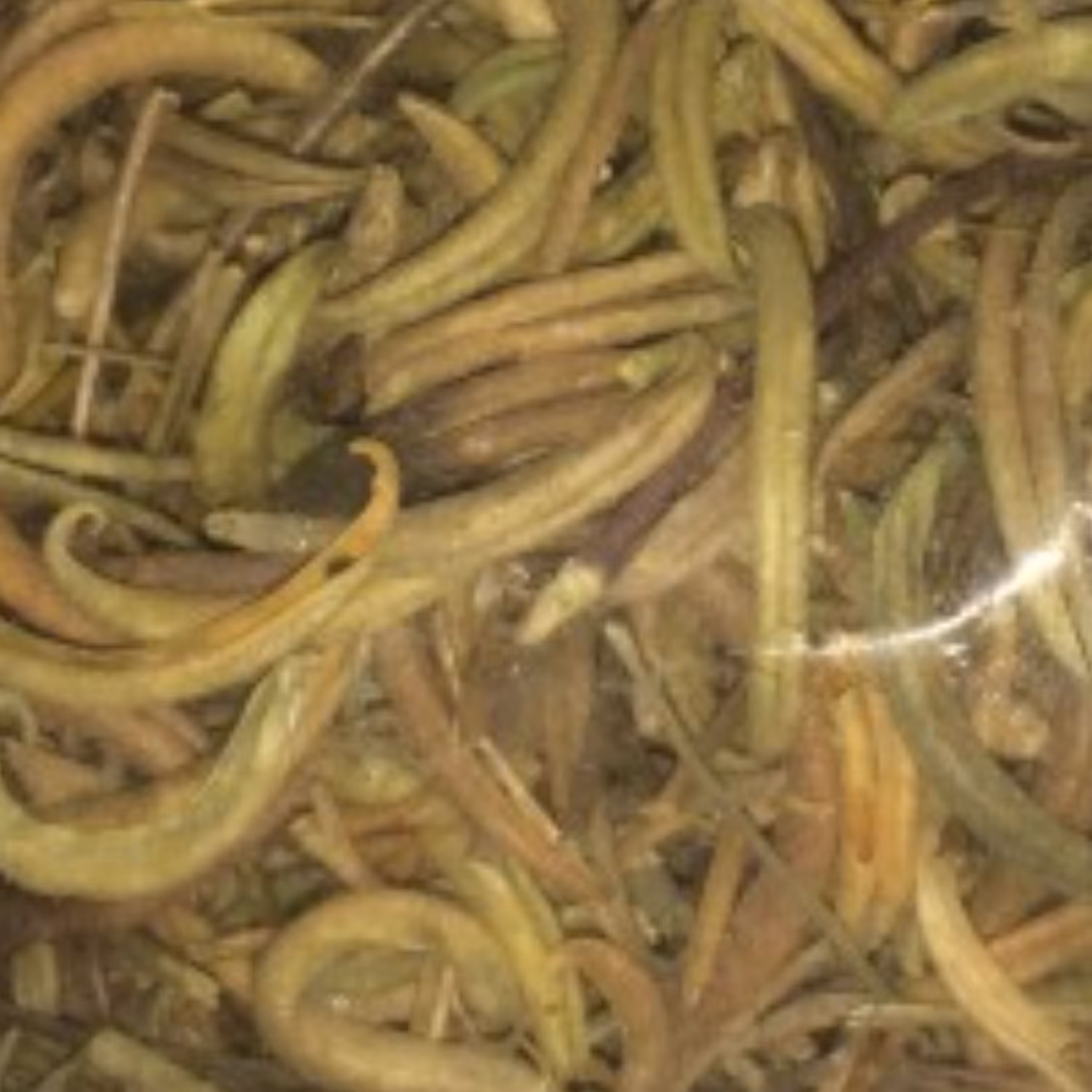 ناخنک   (اظافر) 25 گرم