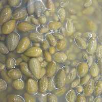 ترشی هندوانه ابوجهل ارسال باباربری