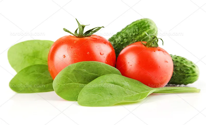 عکس گوجه و خیار با برگ اسفناج | گرافیک با طعم تربچه