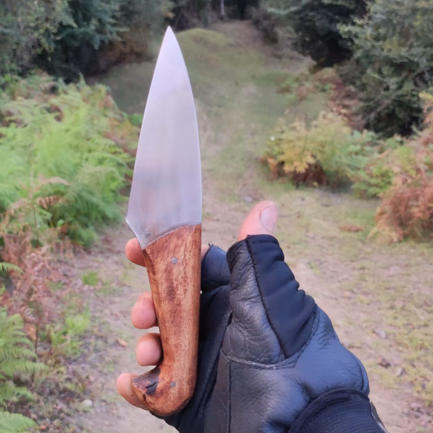 چاقو بیخسی قصابی(سلاخی) آشپزخانه ای (22سانتیمتر)