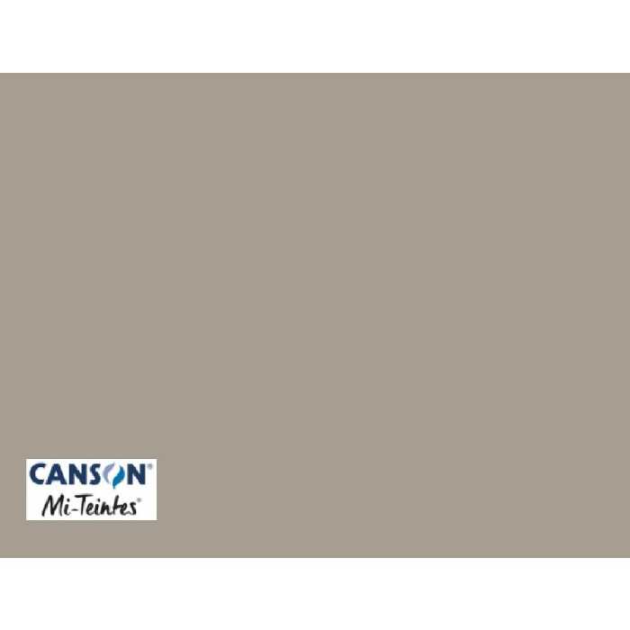 مقوا پاستل Mi-Teintes کانسون کد 343 ابعاد 65 در 50