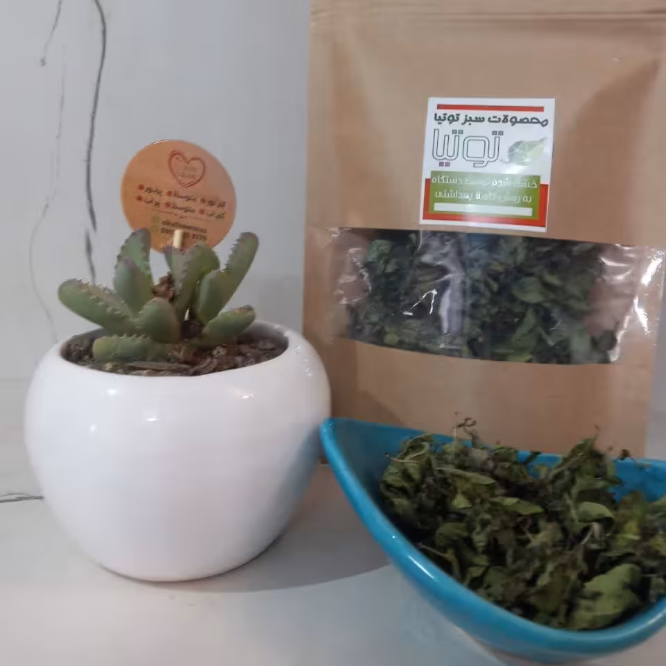 نعنا خوش عطر  محلی  