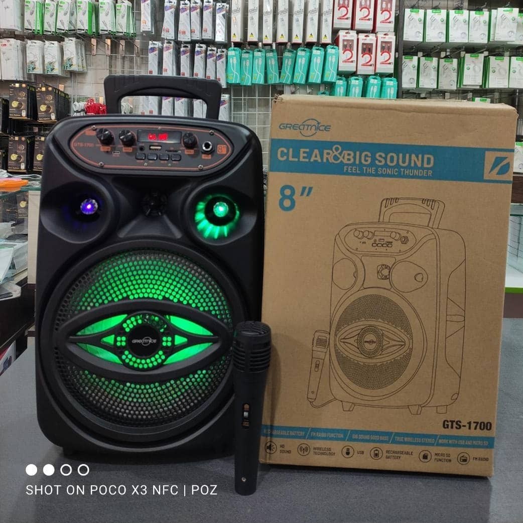 اسپیکر شارژری بلوتوثی قابل حمل (8 اینچ)مدل GTS-1700