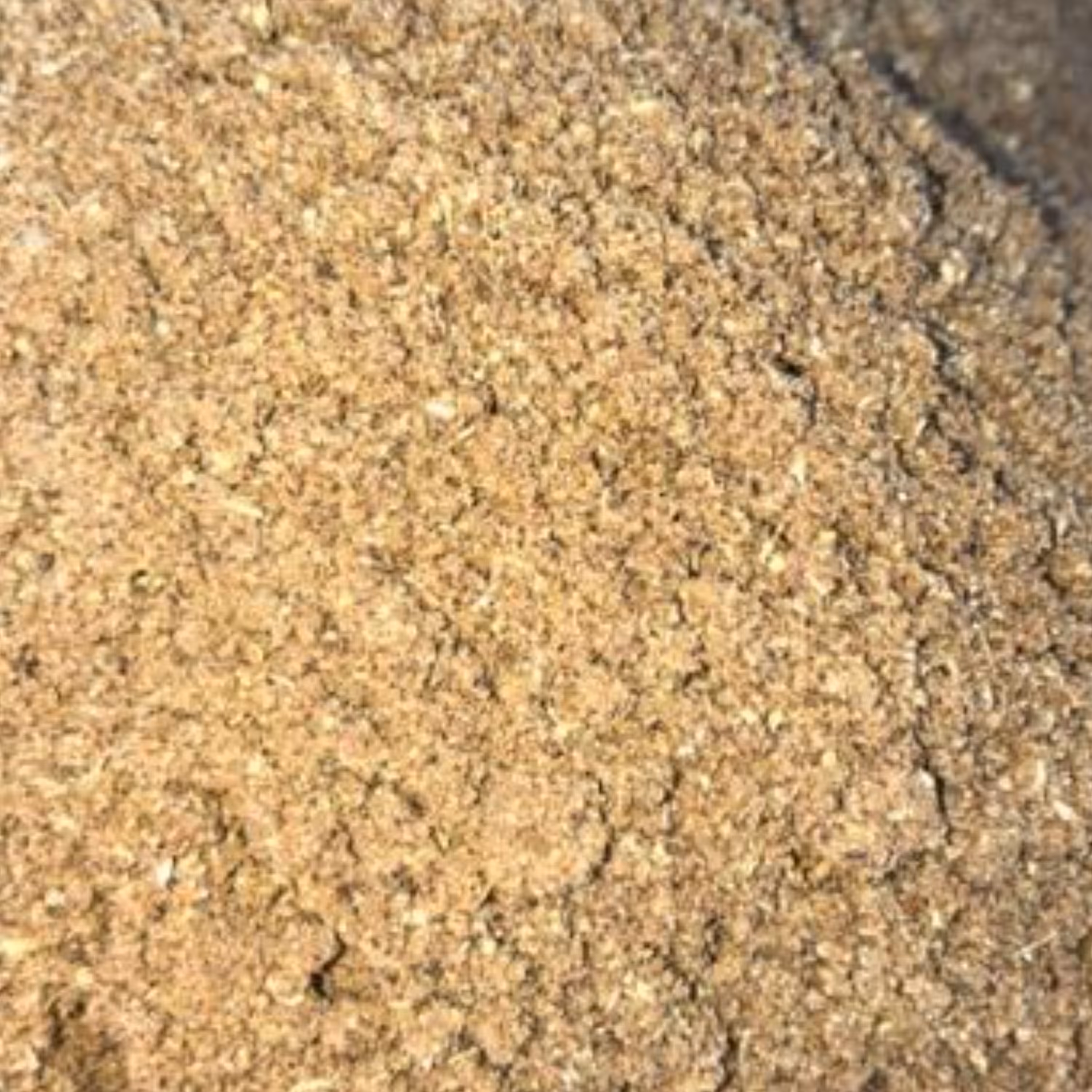 ادویه پلویی مخصوص (هاش) مقدار (100 گرمی)