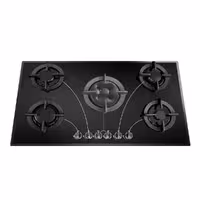 اجاق گاز صفحه ای سینجر مدل SDG 506 D