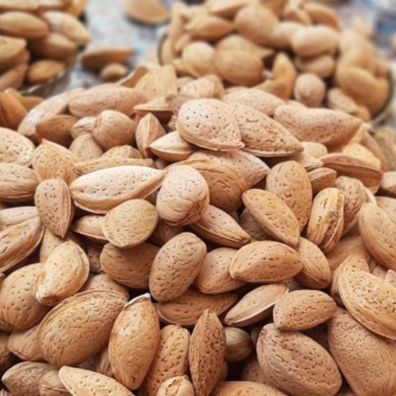 بادام باغی 