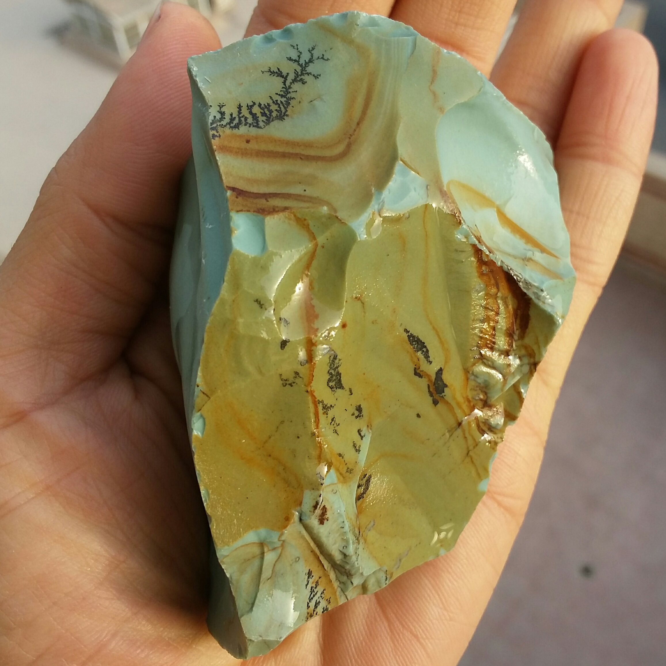 سنگ راف جاسپر منظره شجردار بسیار کمیاب خاص 100 در 100 طبیعی شاهکار خلقت