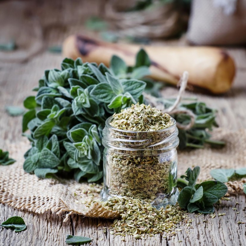 نعناع و ریحون خشک با عطر  و طعم بهشتی