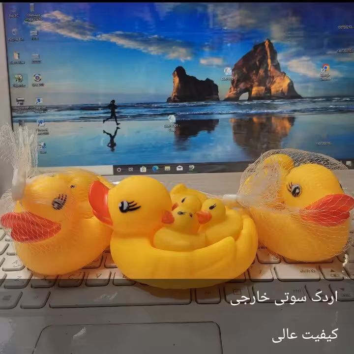 اردک سوتی زیبا وبا کیفیت با بچه هاش