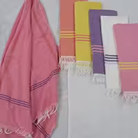 حوله استخری ومسافرتی علوی