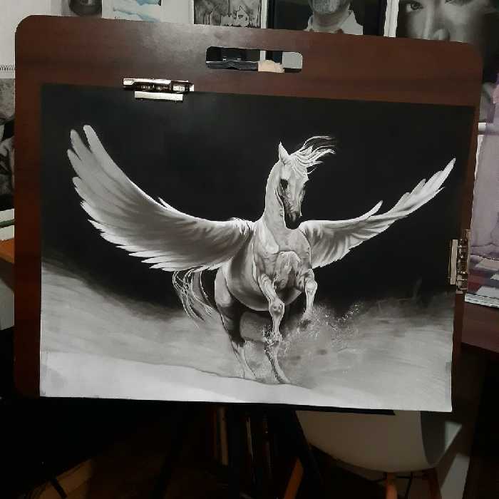 سفارش طراحی چهره سیاه قلم (سایزa2)