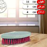 فرچه بیضی
