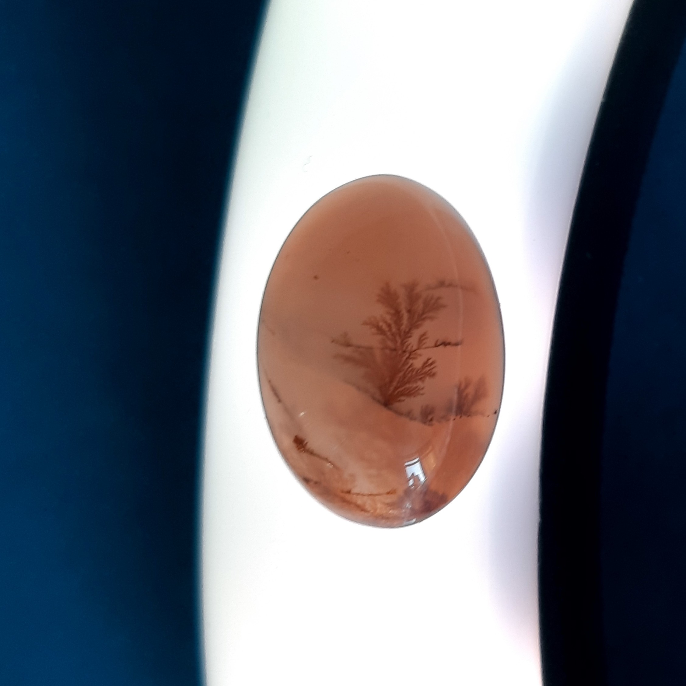 صحرا نگین درشت