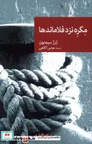 قیمت و خرید کتاب مگره نزد فلاماندها جهان | ایده بوک