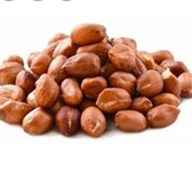 بادام زمینی شور ممتاز فدک (500گرم)