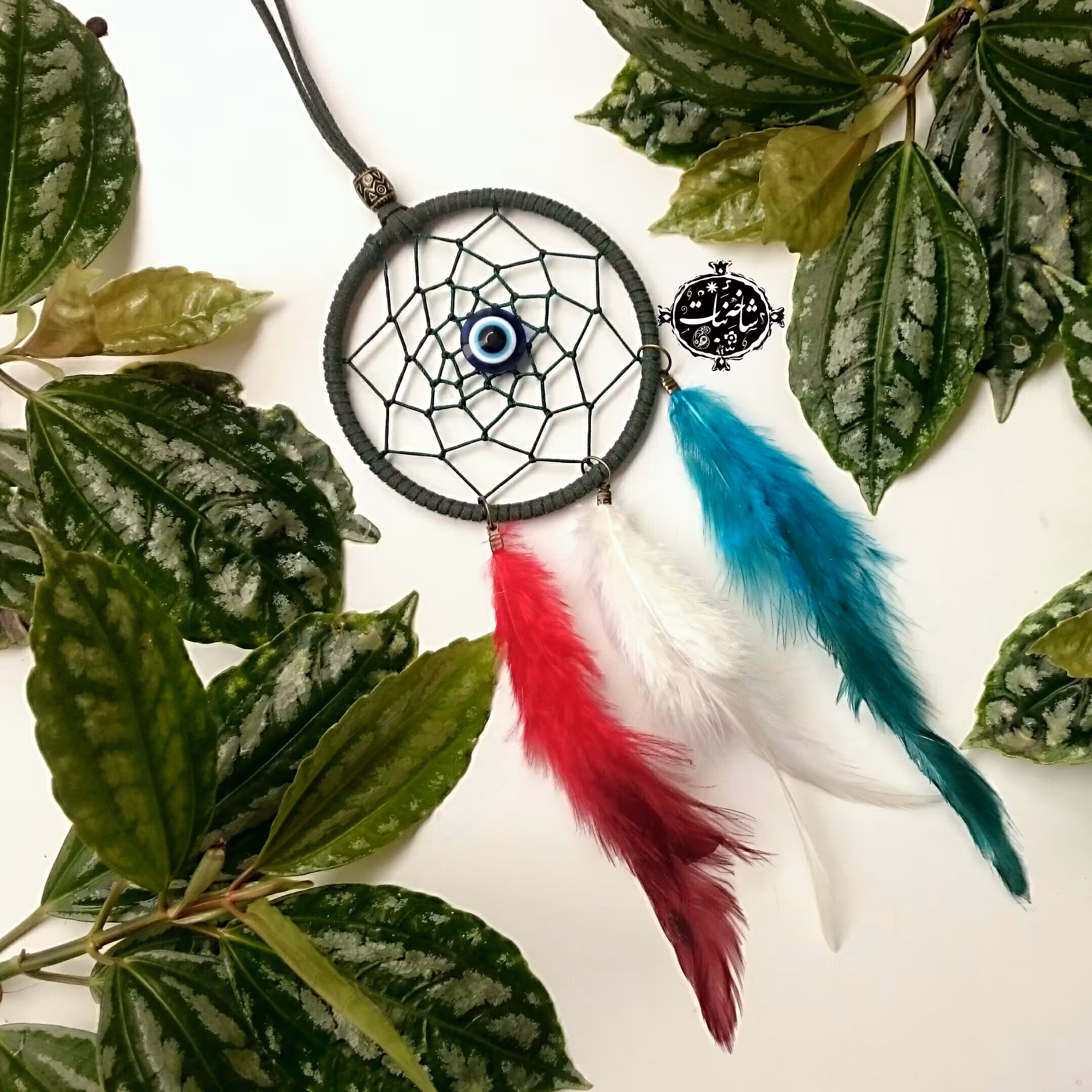 دریم کچر یا رویاگیر پرچم فرانسه