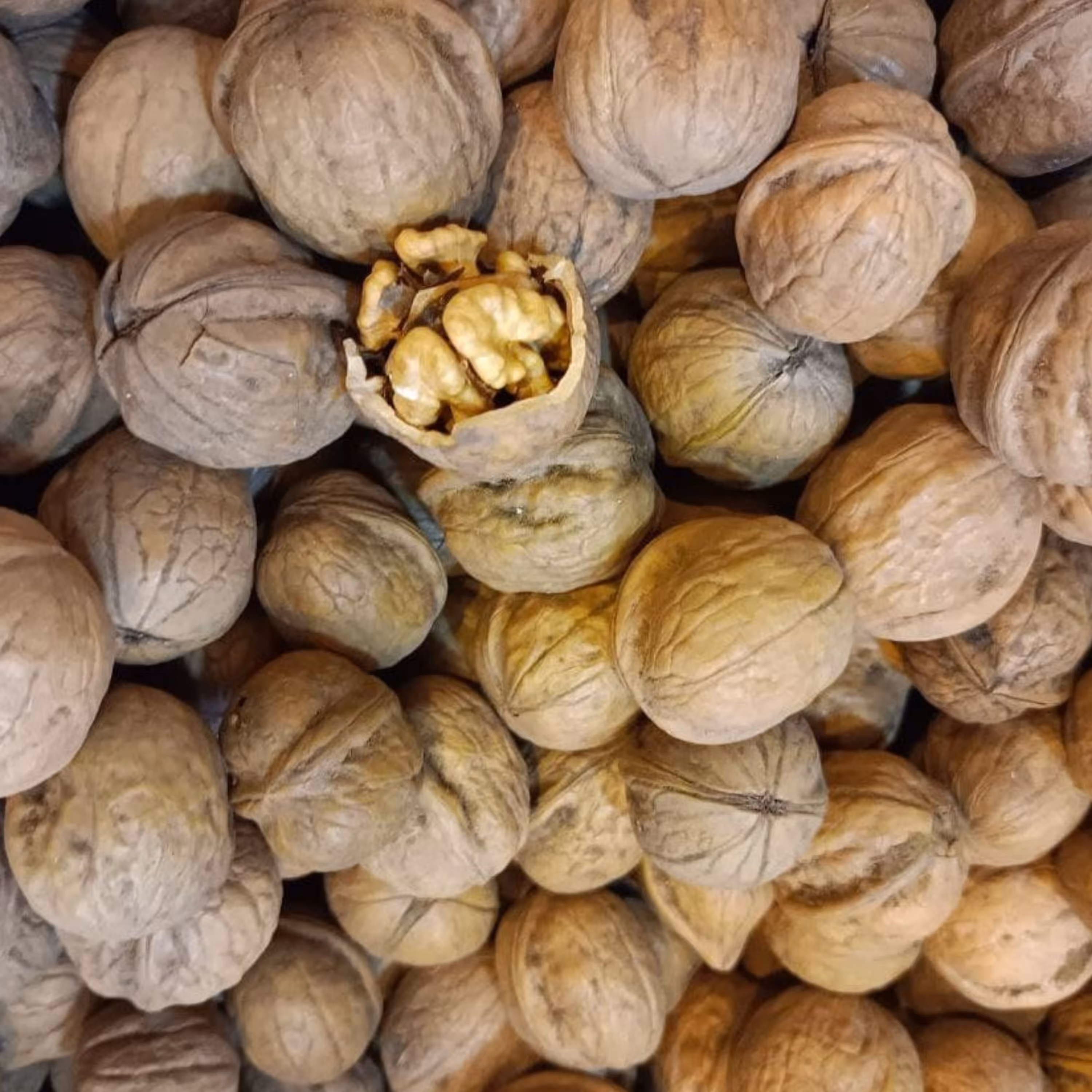 گردو  با پوست تویسرکان 1 کیلویی(80درصدمغزسفید)