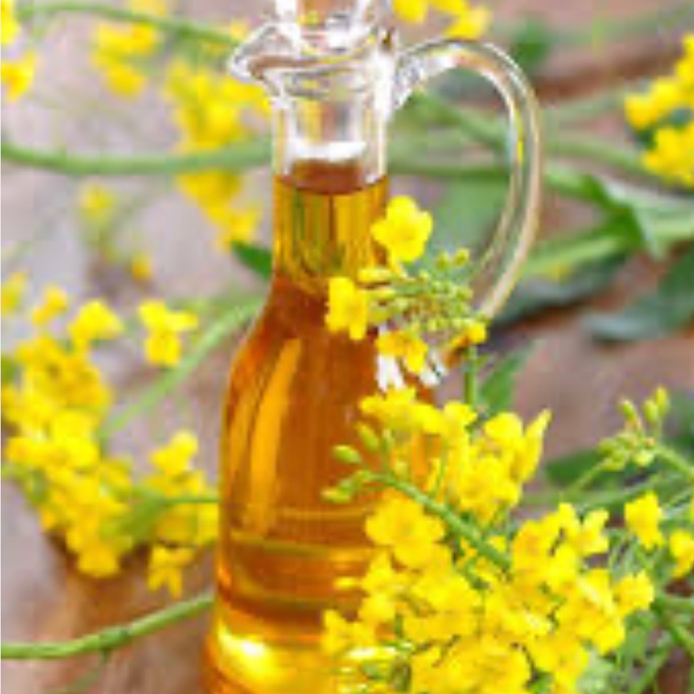 روغن کلزا یک لیتری خالص