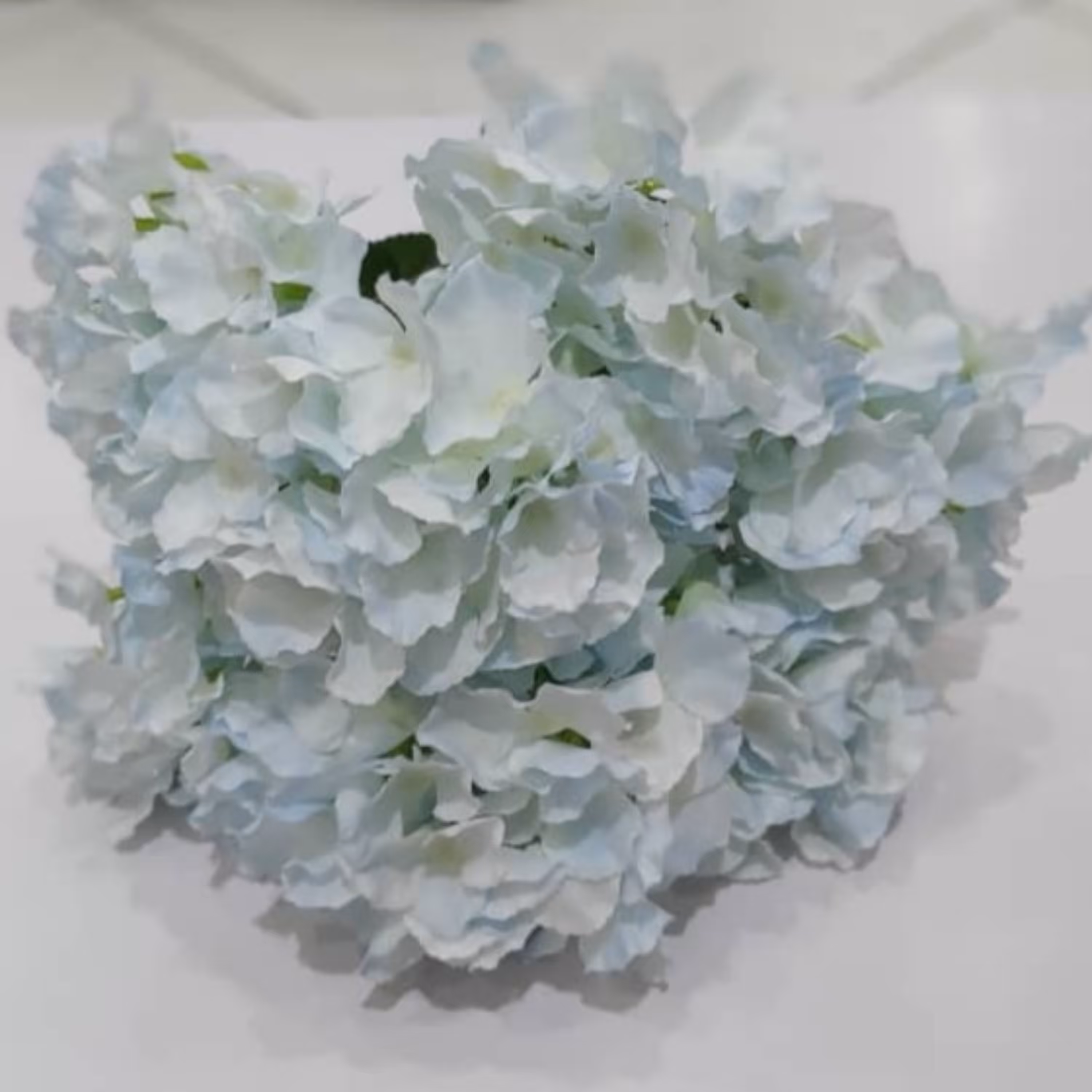 گل ارتانزیا ابی روشن
