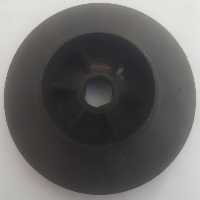 فن اچ اس دی بزرگ