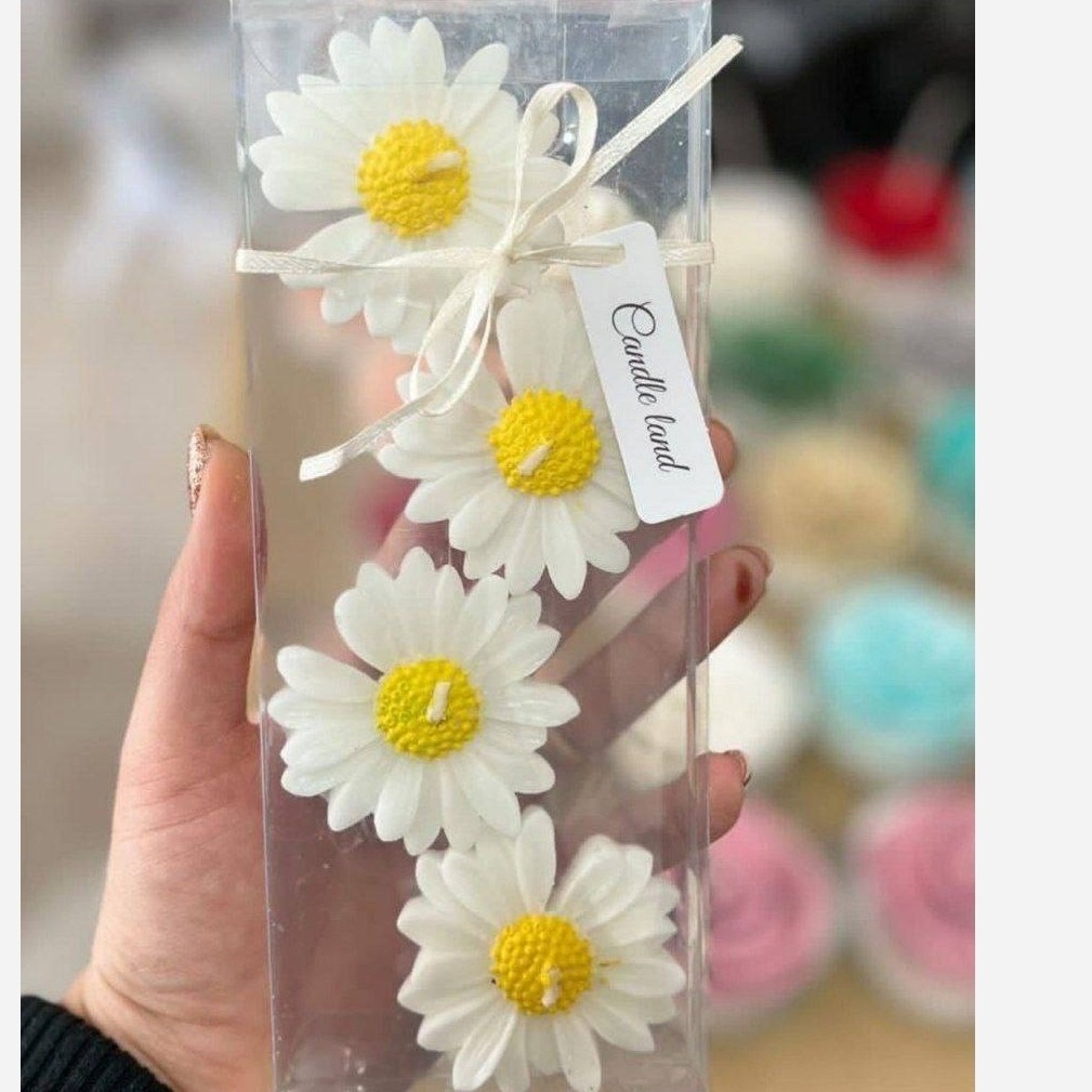 شمع بابونه رو آبی 