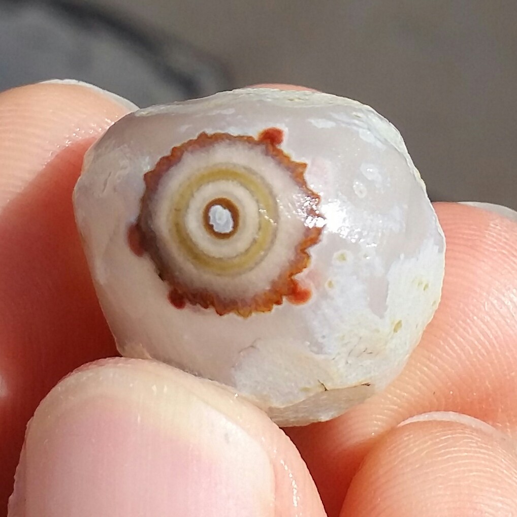 سنگ راف خام عقیق باباقوری تک چشم موکول دار رحمانی بسیار قوی درشت برش نخورده 100 در 100 طبیعی شاهکار خلقت
کد 10934