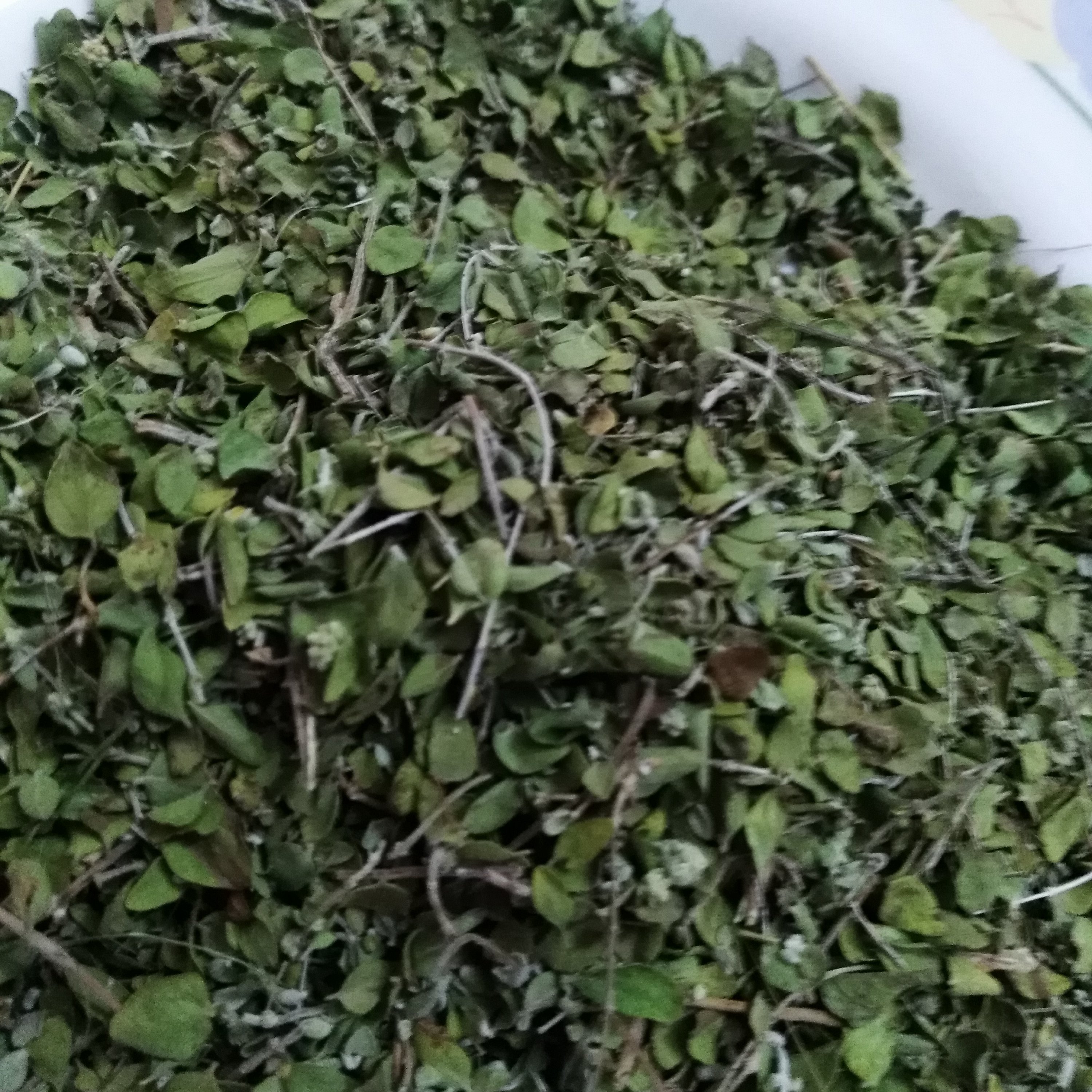 آویشن کوهی ارگانیک(50گرمی)