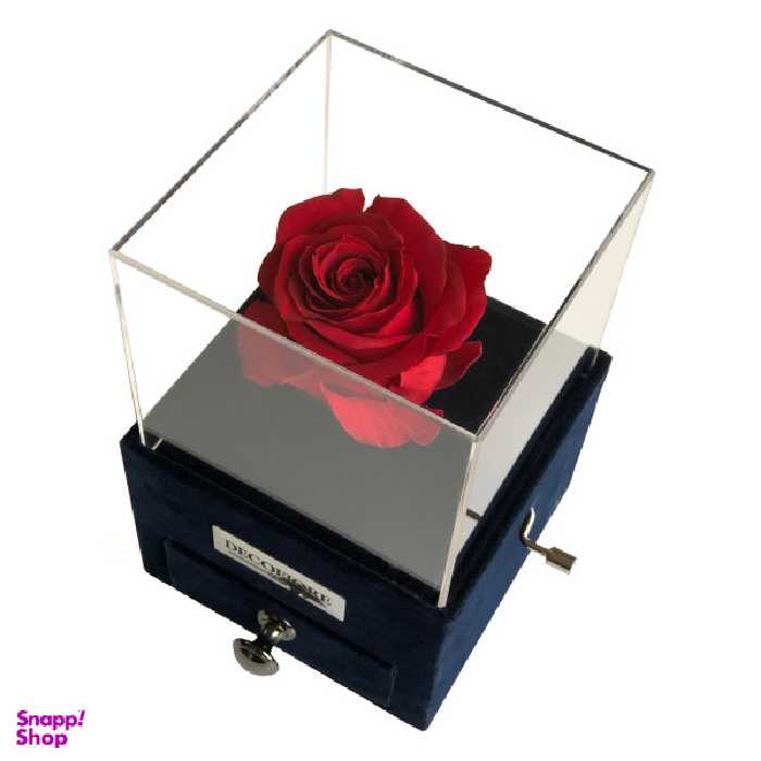 جعبه موزیکال کشودار رز جاودان دکوفیوره طرح ملودی عاشقانه