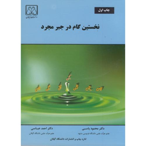 کتاب نخستین گام در جبر مجرد