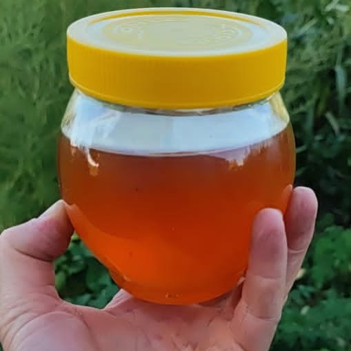عسل بدون موم نیمه طبیعی در بسته بندی 0.5 کیلویی