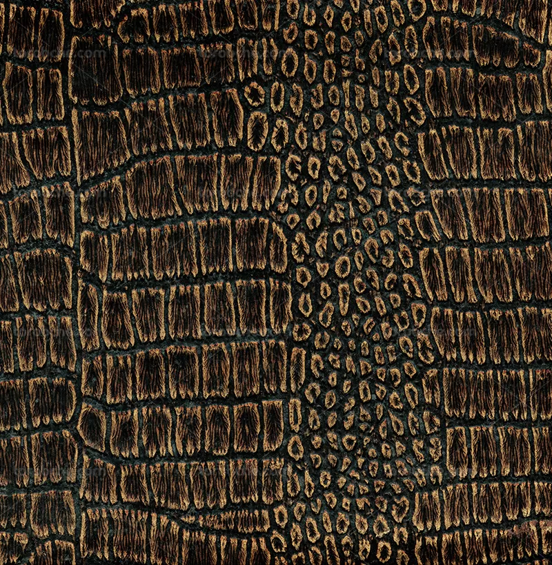 تکسچر بافت پوست مار | گرافیک با طعم تربچه