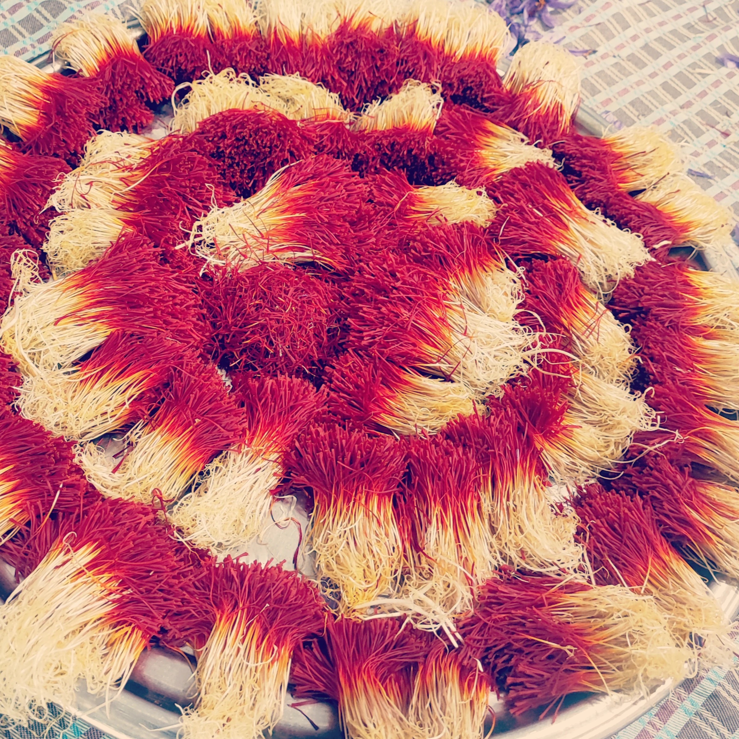 زعفران دختر پیچ