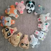 جاسوئیچی (پک 4عددی)