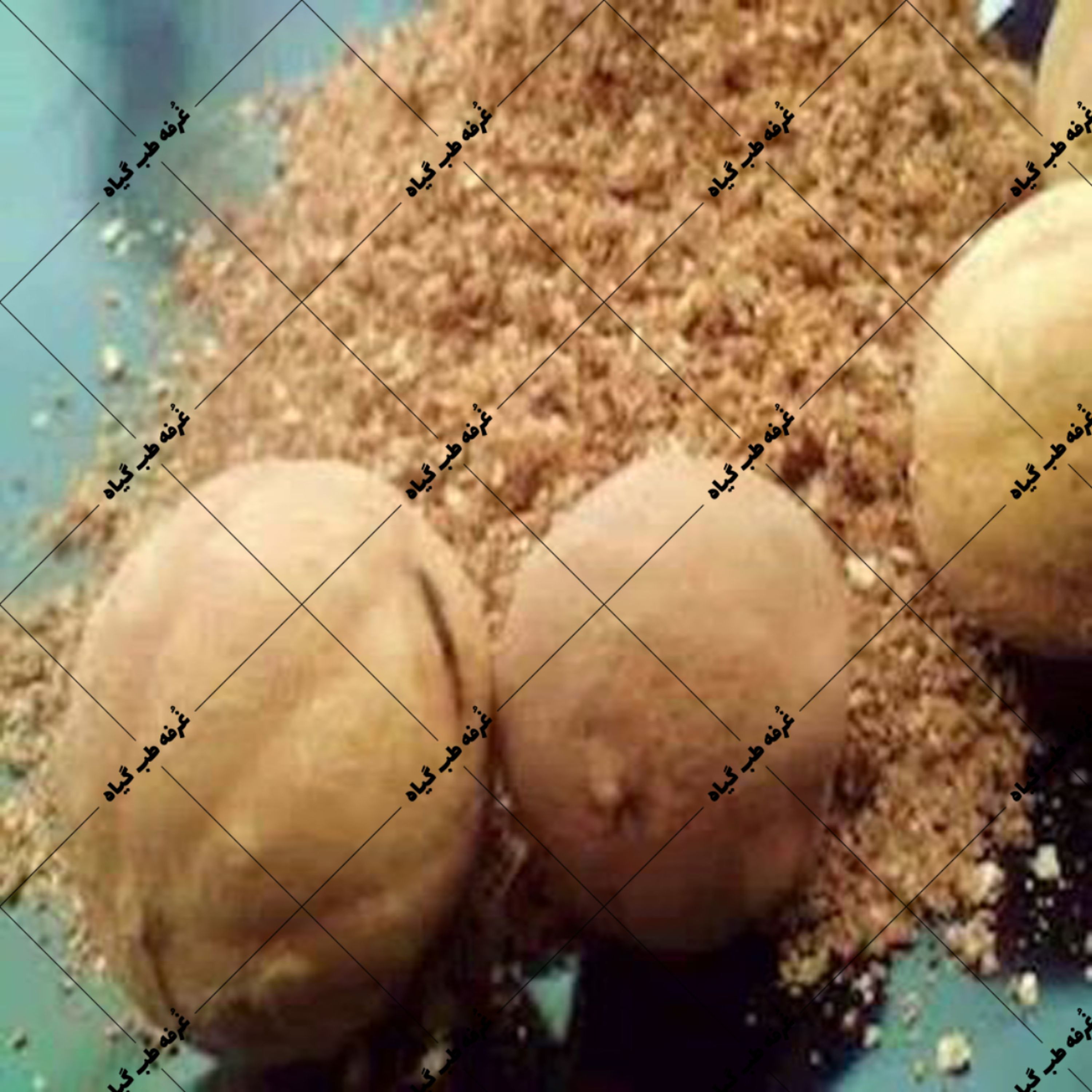 پودر لیمو 100 گرمی - گرد لیمو -پودر لیمو ترش