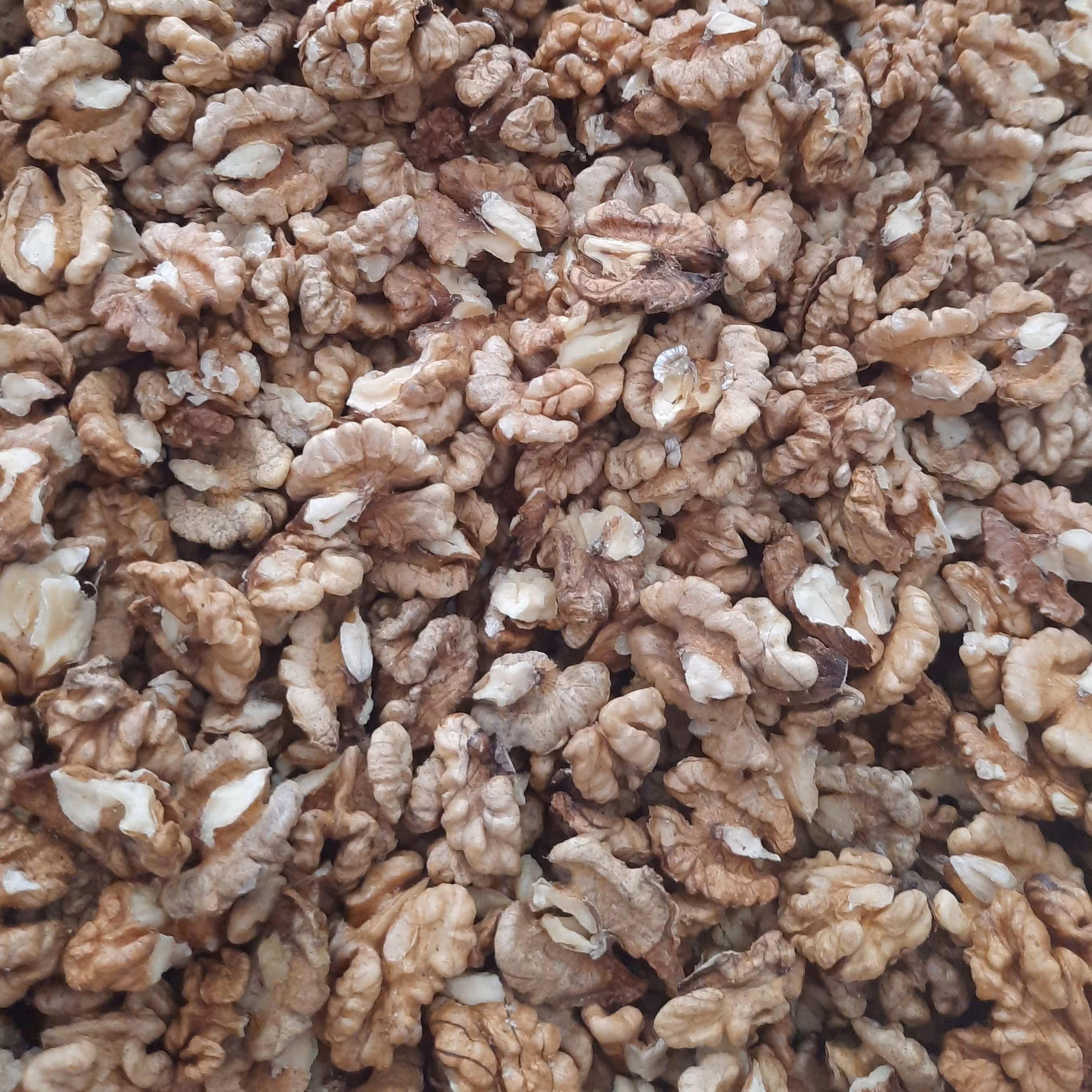 5 کیلو مغز گردوی خوب( درجه دو )تویسرکان ،پرچرب و ارگانیک