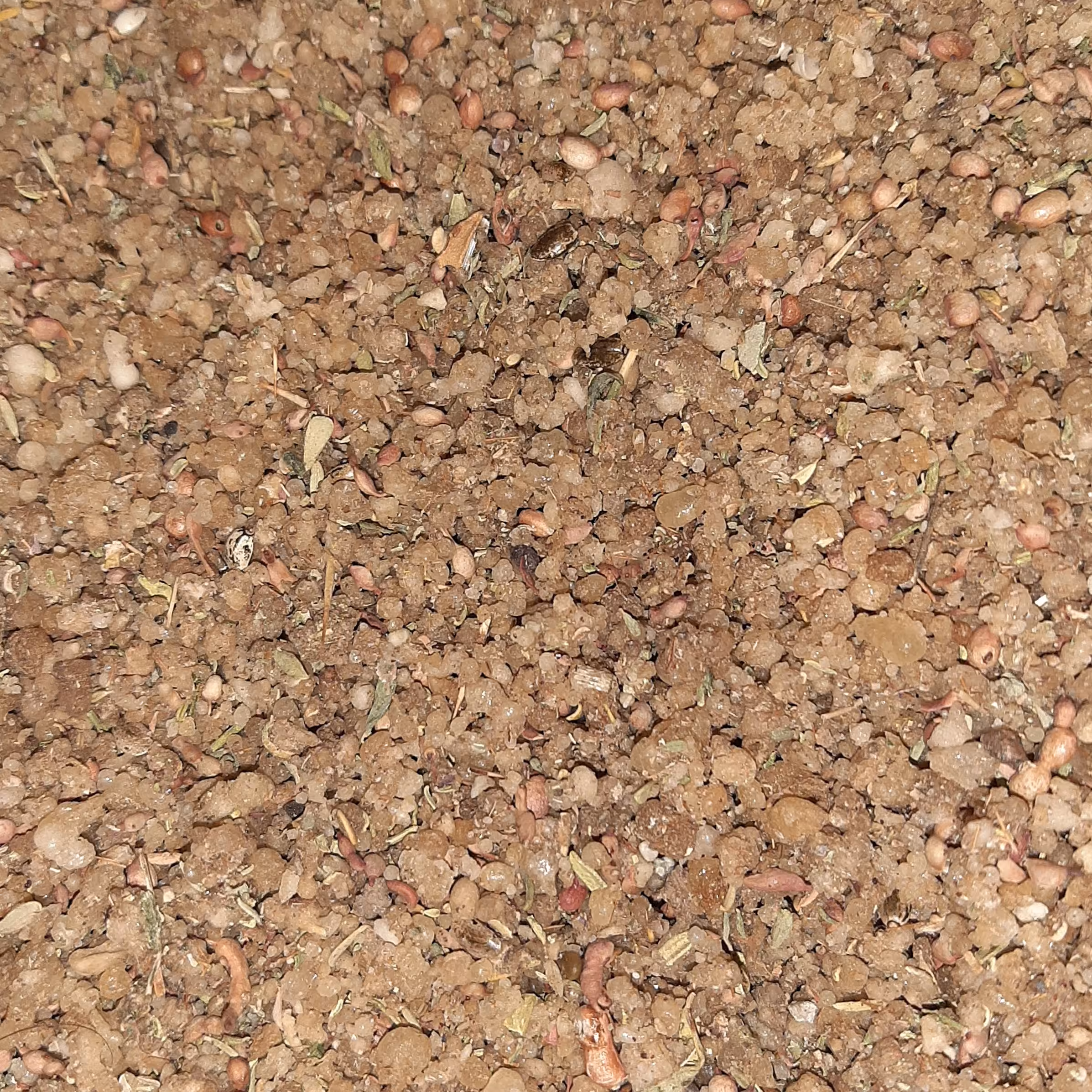 ترنجبین 100 گرمی گیاهینو