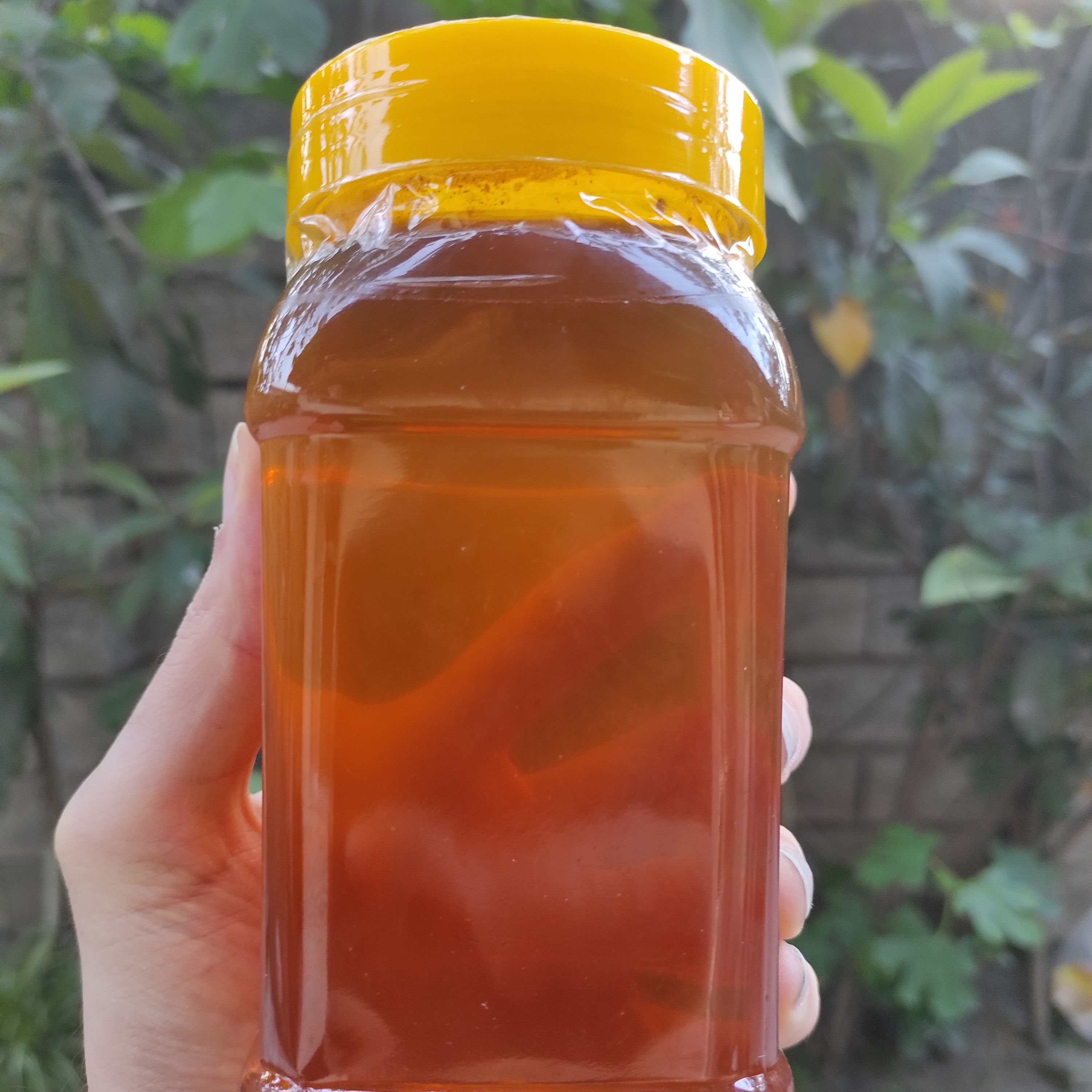 عسل آویشن 3 کیلویی