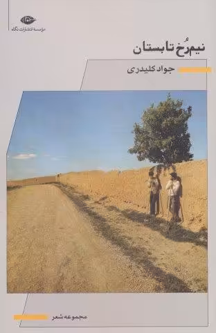 نیم رخ تابستان (مجموعه شعر)