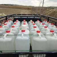 گلاب ممتاز  عمده مستقیم از گلستان کار گل محمدی( بیست لیتری)، با غلظت پنجاه درصد گل