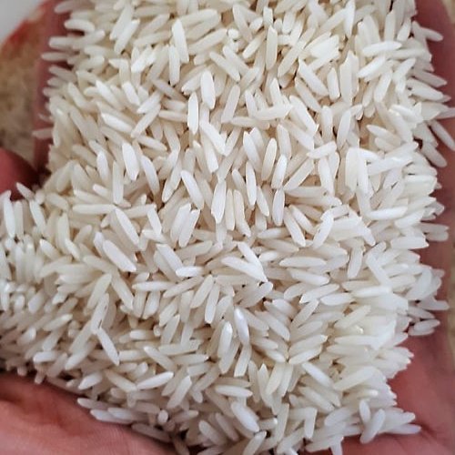 برنج طارم شیرودی 10 کیلویی با ارسال رایگان