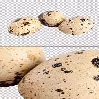 عکس تخم بلدرچین دوربری | گرافیک با طعم تربچه