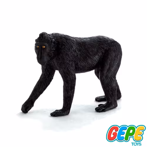 فیگور ماکاک سیاه کاکل دار