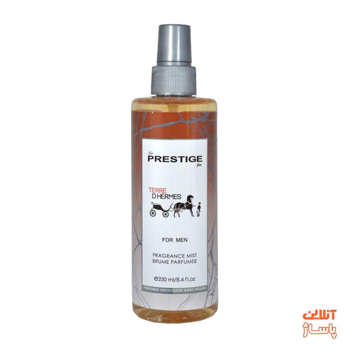 بادی اسپلش مردانه پرستیژ مدل Terre DHermes حجم 250 میلی لیتر