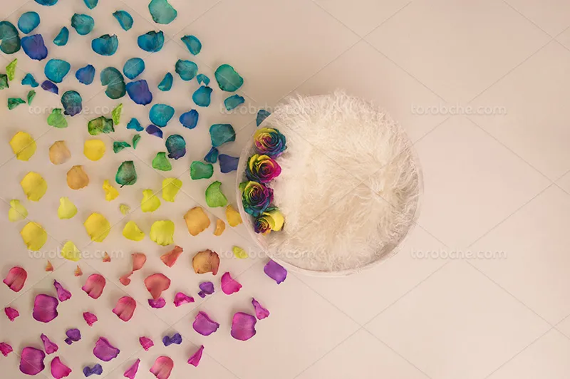 بک دراپ عکاسی کودک با گلبرگ های رنگی | گرافیک با طعم تربچه