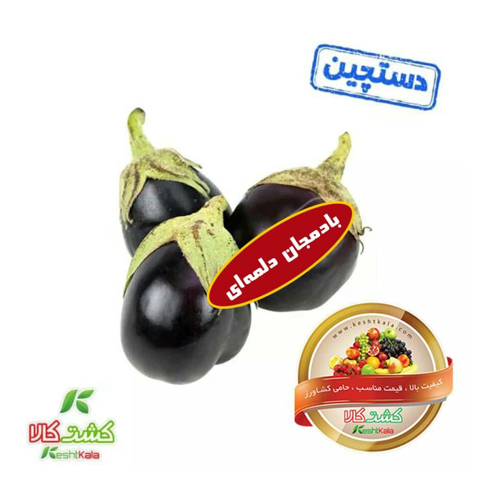 بادمجان دلمه ای فله دستچین