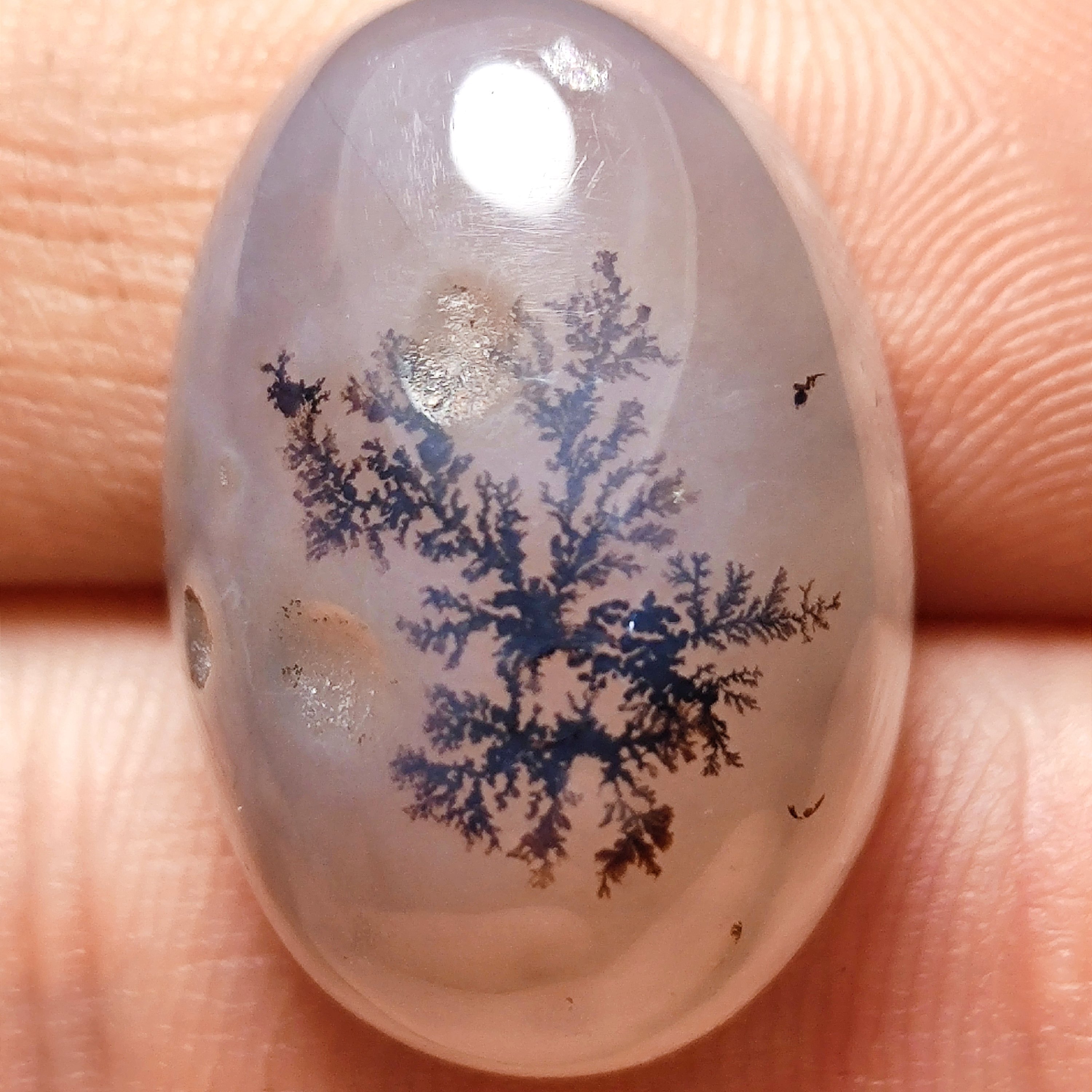 نگین  انگشتر عقیق شجر قائن درختچه  با ضخامت