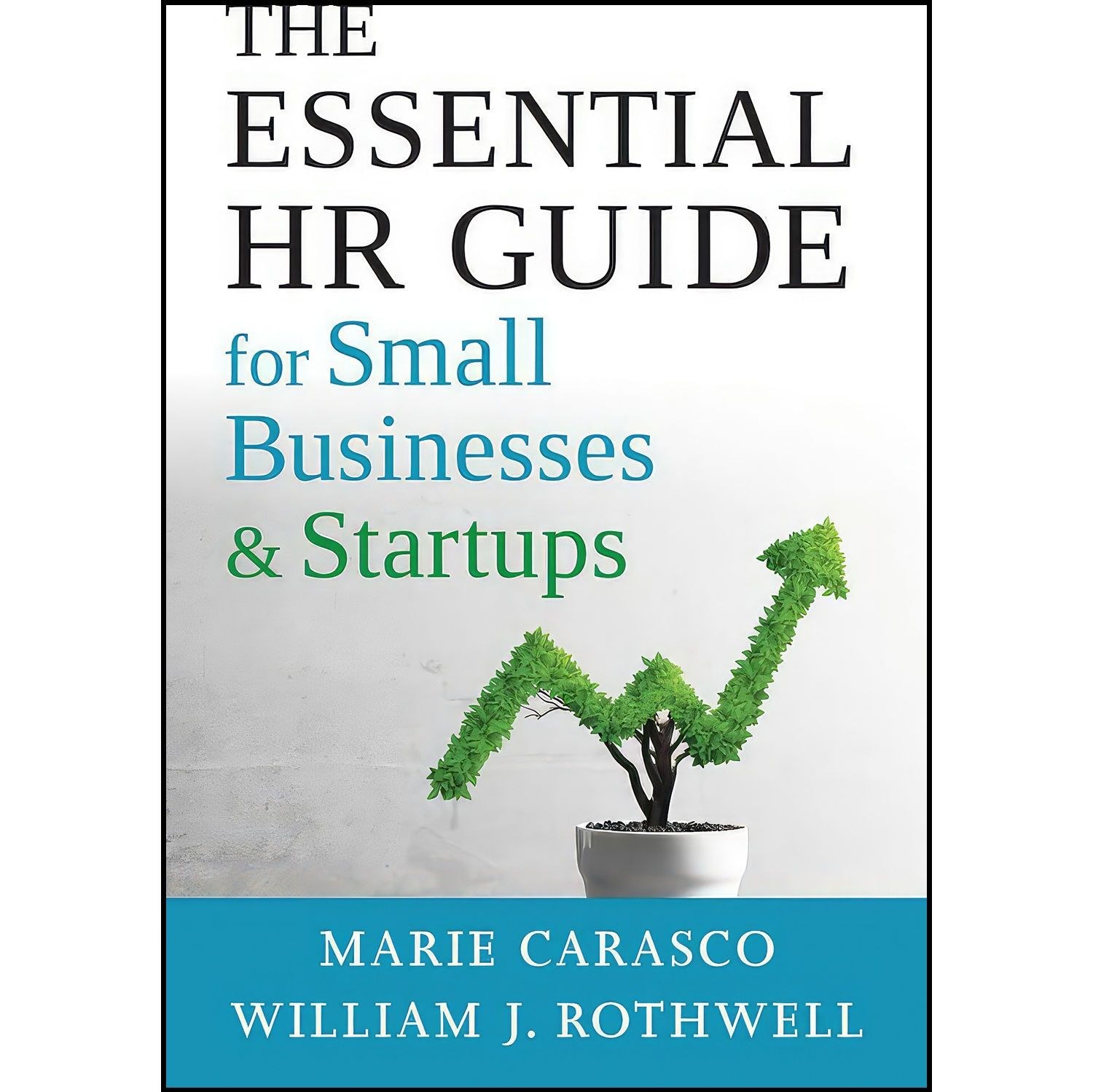 کتاب زبان اصلی The Essential HR Guide for Small Businesses and Startups