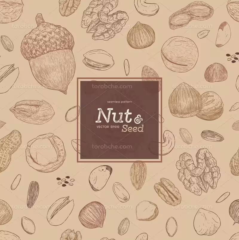 وکتور پترن آجیل و خشکبار | گرافیک با طعم تربچه