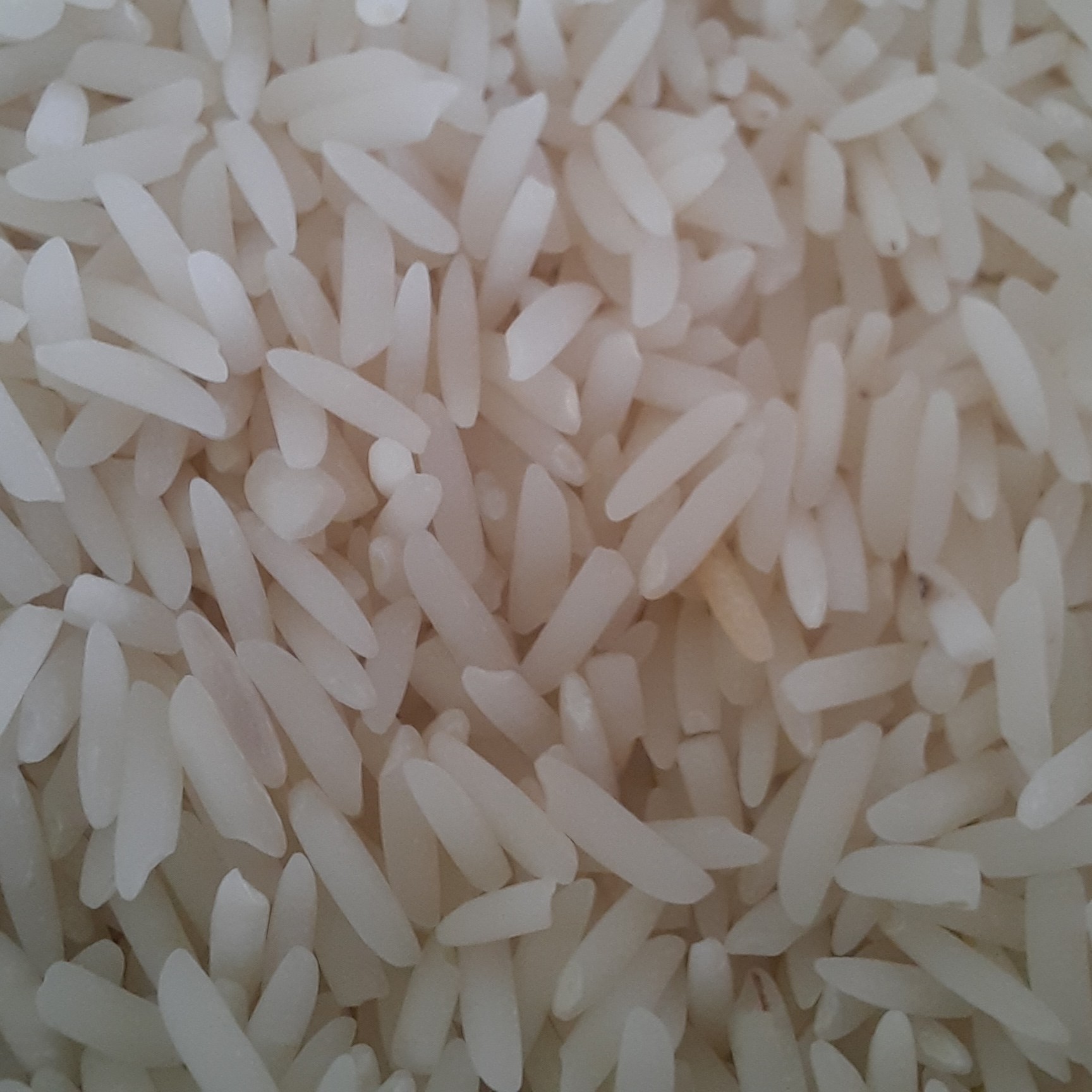 برنج هاشمی خالص مزرعه سلامت گیتی ،محصول شالیزارهای گیلان،خوش طعم،بسیا معطر ،در کیسه های 10 کیلوگرم